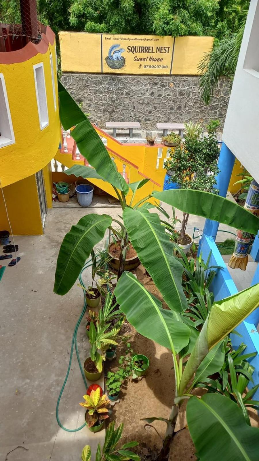 Squirrel Nest Guest House Mahabalipuram Luaran gambar